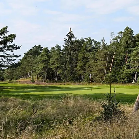 Renovated With - By Traum