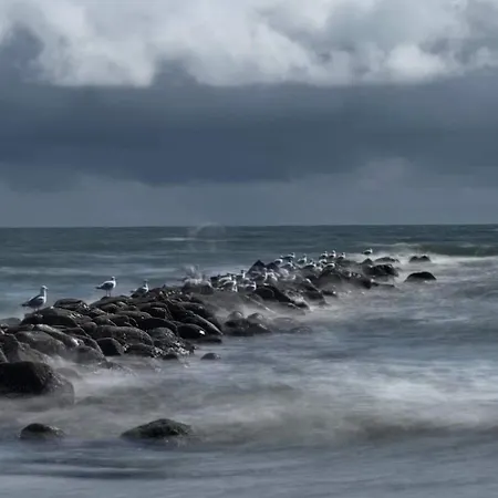 Renovated With - By Traum 펜션 Blåvand