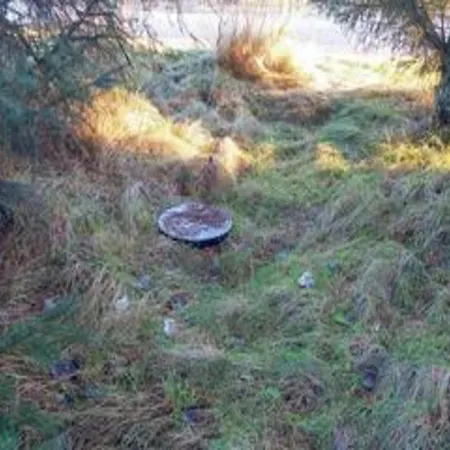 4 Star In Blåvand